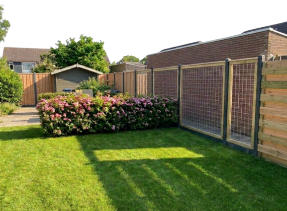 Grenen gaasscherm betonijzer 180x180 cm